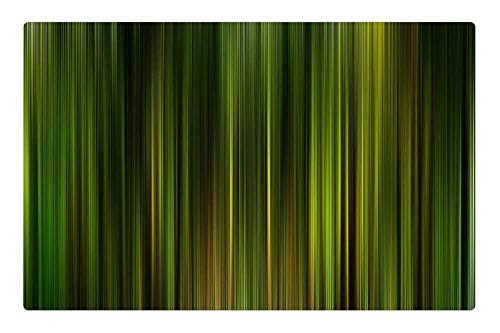 LESGAULEST Doormat Floor Rug/Mat -23.6 x 15.7 inch- - Theater Cinema Curtain Stripes Green Yellow