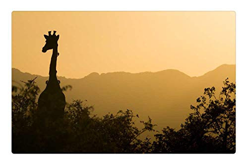 LESGAULEST Doormat Floor Rug/Mat -23.6 x 15.7 inch- - Giraffe Sunset Yellow Sky South Africa Africa LESGAULEST Doormat Floor Rug/Mat -23.6 x 15.7 inch- - Giraffe Sunset Yellow Sky South Africa Africa