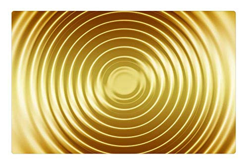 LESGAULEST Doormat Floor Rug/Mat -23.6 x 15.7 inch- - Wave Gold Concentric Waves Circles Water Circle 1 LESGAULEST Doormat Floor Rug/Mat -23.6 x 15.7 inch- - Wave Gold Concentric Waves Circles Water Circle 1