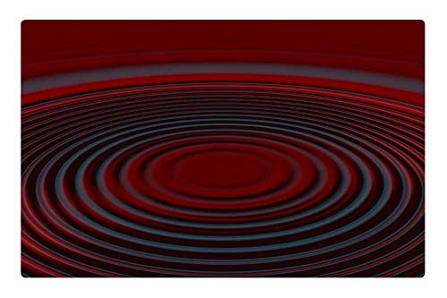 LESGAULEST Doormat Floor Rug/Mat -23.6 x 15.7 inch- - Wave Red Concentric Waves Circles Water Circle LESGAULEST Doormat Floor Rug/Mat -23.6 x 15.7 inch- - Wave Red Concentric Waves Circles Water Circle