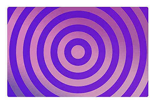 LESGAULEST Doormat Floor Rug/Mat -23.6 x 15.7 inch- - Circle Target Focus Concentric Circles Gradient