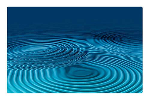 LESGAULEST Doormat Floor Rug/Mat -23.6 x 15.7 inch- - Waves Circles Water Wave Circle Rings Arrangement 1