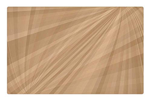 LESGAULEST Doormat Floor Rug/Mat -23.6 x 15.7 inch- - Brown Background Rays Curves Decorative Abstract