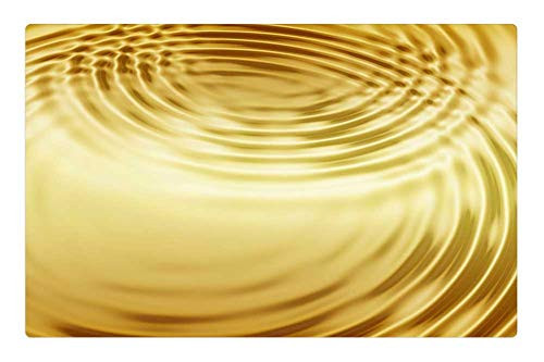 LESGAULEST Doormat Floor Rug/Mat -23.6 x 15.7 inch- - Wave Gold Concentric Waves Circles Water Circle LESGAULEST Doormat Floor Rug/Mat -23.6 x 15.7 inch- - Wave Gold Concentric Waves Circles Water Circle