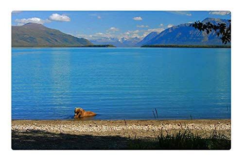 LESGAULEST Doormat Floor Rug/Mat -23.6 x 15.7 inch- - Alaska Brown Bear Wildlife Mountains Landscape
