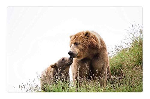 LESGAULEST Doormat Floor Rug/Mat -23.6 x 15.7 inch- - Kodiak Brown Bears Cub Female Wildlife Predator