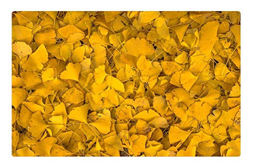 LESGAULEST Doormat Floor Rug/Mat -23.6 x 15.7 inch- - Autumn Leaves Bank Yellow Nature Plants LESGAULEST Doormat Floor Rug/Mat -23.6 x 15.7 inch- - Autumn Leaves Bank Yellow Nature Plants