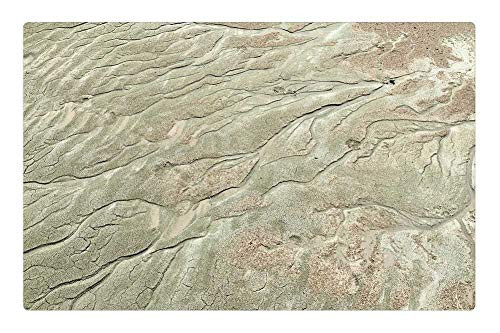 LESGAULEST Doormat Floor Rug/Mat -23.6 x 15.7 inch- - Sand Branches Tendrils Algae Green Brown Branch