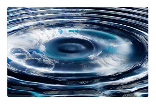 LESGAULEST Doormat Floor Rug/Mat -23.6 x 15.7 inch- - Wave Concentric Waves Circles Water Circle Rings 8 LESGAULEST Doormat Floor Rug/Mat -23.6 x 15.7 inch- - Wave Concentric Waves Circles Water Circle Rings 8