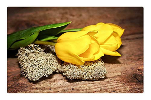 LESGAULEST Doormat Floor Rug/Mat -23.6 x 15.7 inch- - Tulips Cut Flowers Plant Flowers Yellow