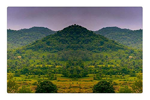 LESGAULEST Doormat Floor Rug/Mat -23.6 x 15.7 inch- - Panorama Side Green Tree Long Cloud Sky