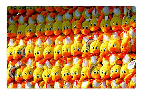 LESGAULEST Doormat Floor Rug/Mat -23.6 x 15.7 inch- - Ducks Stuffed Animals Birds Yellow Orange Toys LESGAULEST Doormat Floor Rug/Mat -23.6 x 15.7 inch- - Ducks Stuffed Animals Birds Yellow Orange Toys