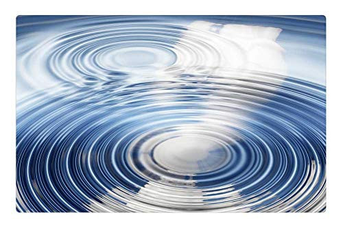 LESGAULEST Doormat Floor Rug/Mat -23.6 x 15.7 inch- - Wave Concentric Waves Circles Water Circle Rings 6 LESGAULEST Doormat Floor Rug/Mat -23.6 x 15.7 inch- - Wave Concentric Waves Circles Water Circle Rings 6