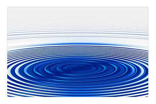 LESGAULEST Doormat Floor Rug/Mat -23.6 x 15.7 inch- - Wave Concentric Waves Circles Water Circle Rings 12 LESGAULEST Doormat Floor Rug/Mat -23.6 x 15.7 inch- - Wave Concentric Waves Circles Water Circle Rings 12