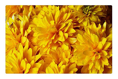 LESGAULEST Doormat Floor Rug/Mat -23.6 x 15.7 inch- - Flower Yellow Plant Vase Decor LESGAULEST Doormat Floor Rug/Mat -23.6 x 15.7 inch- - Flower Yellow Plant Vase Decor
