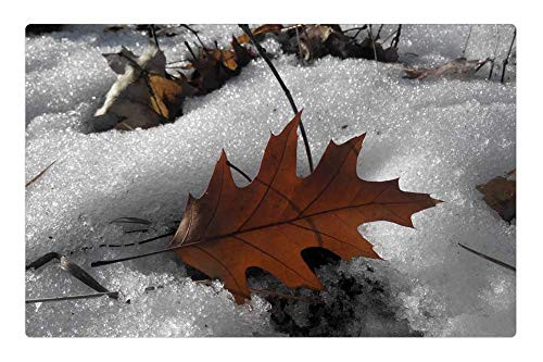 LESGAULEST Doormat Floor Rug/Mat -23.6 x 15.7 inch- - Sheet Forest Nature Cones Plant Brown Macro