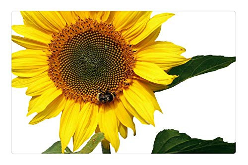 LESGAULEST Doormat Floor Rug/Mat -23.6 x 15.7 inch- - Sun Flower Yellow Summer Flower Blossom Bloom LESGAULEST Doormat Floor Rug/Mat -23.6 x 15.7 inch- - Sun Flower Yellow Summer Flower Blossom Bloom
