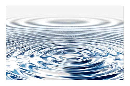 LESGAULEST Doormat Floor Rug/Mat -23.6 x 15.7 inch- - Wave Concentric Waves Circles Water Circle Rings LESGAULEST Doormat Floor Rug/Mat -23.6 x 15.7 inch- - Wave Concentric Waves Circles Water Circle Rings