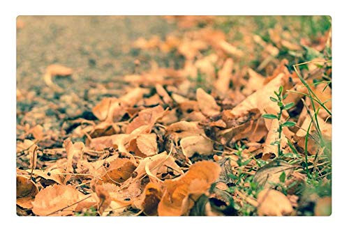 LESGAULEST Doormat Floor Rug/Mat -23.6 x 15.7 inch- - Autumn Leaves Yellow Away Nature Macro LESGAULEST Doormat Floor Rug/Mat -23.6 x 15.7 inch- - Autumn Leaves Yellow Away Nature Macro