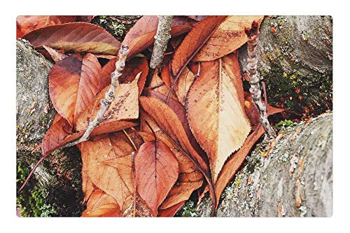 LESGAULEST Doormat Floor Rug/Mat -23.6 x 15.7 inch- - Season Autumn Fallen Leaves Brown Tree Trunk