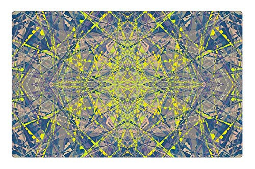 LESGAULEST Doormat Floor Rug/Mat -23.6 x 15.7 inch- - Background Color Mode Abstract Structure Art Line