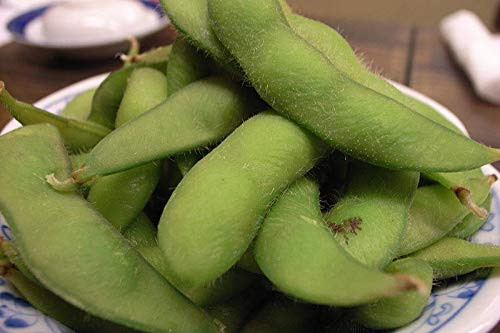 20 BUTTERBEANS Soybean - The Edamame Bean Green Glycine Max Vegetable -ILR- ct Can Grow in Pot