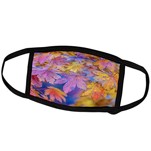 3dRose Orange and Yellow Maple Leaves. Autumn Ornament - Face Covers -fc_270398_3-