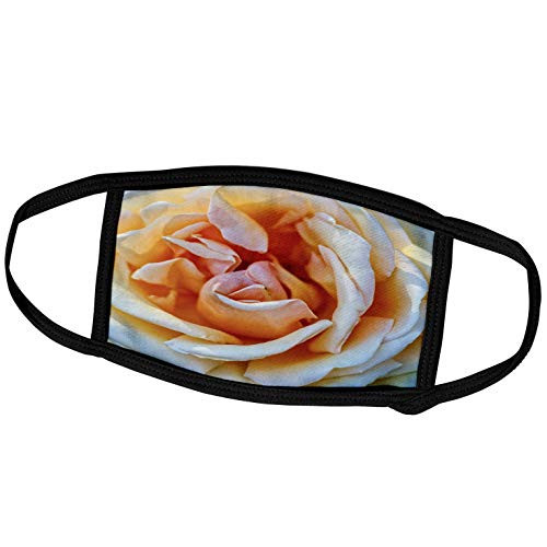 3dRose Alexis Photography - Flowers Rose - Yellow Rose. Macro View - Face Covers -fc_267274_3- 3dRose Alexis Photography - Flowers Rose - Yellow Rose. Macro View - Face Covers -fc_267274_3-