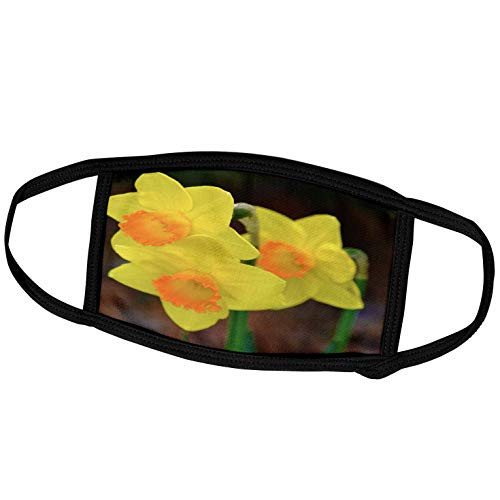 3dRose Three Yellow Daffodils- Spring Flowers- Floral Photography - Face Covers -fc_47789_3- 3dRose Three Yellow Daffodils- Spring Flowers- Floral Photography - Face Covers -fc_47789_3-