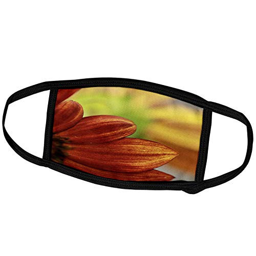 3dRose Macro Photograph of The Petals of a red and Yellow Sunflower. - Face Covers -fc_325139_2- 3dRose Macro Photograph of The Petals of a red and Yellow Sunflower. - Face Covers -fc_325139_2-