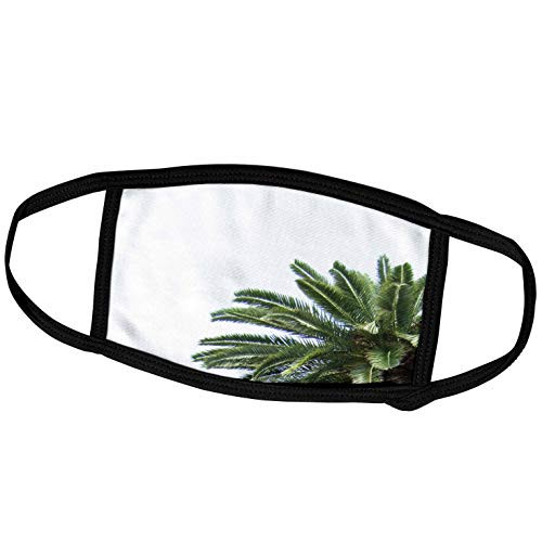 3dRose Palm Tree on White Sky - Green Leaves Mediterranean Tropical. - Face Covers -fc_164998_3-