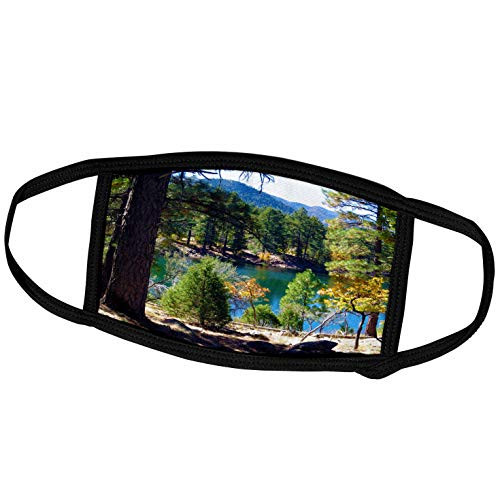 3dRose Fall at The Lake in The Dixie National Forest of Utah with Green. - Face Covers -fc_270190_2-