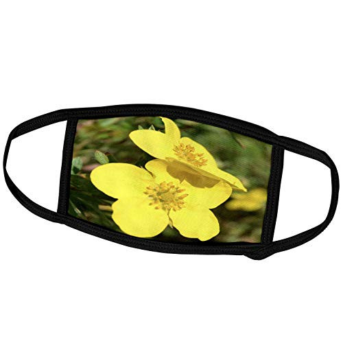 3dRose Patricia Sanders Flowers - Two Yellow Flowers- Macro Photography - Face Covers -fc_36320_3- 3dRose Patricia Sanders Flowers - Two Yellow Flowers- Macro Photography - Face Covers -fc_36320_3-