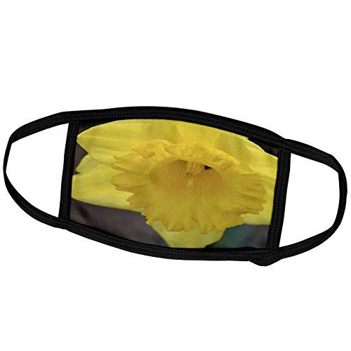 3dRose Pretty Yellow Daffodil- Spring Flowers- Macro Photography - Face Covers -fc_48620_2- 3dRose Pretty Yellow Daffodil- Spring Flowers- Macro Photography - Face Covers -fc_48620_2-
