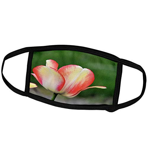 3dRose Pretty Tulip in Spring - Yellow Flowers - Spring Photography - Face Covers -fc_49878_3-