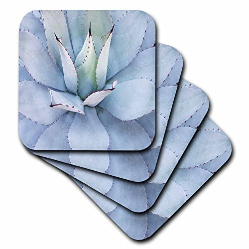 3D Rose Image of Beautiful Mexican Blue Cactus Ceramic Tile Coasters, Multicolor 3D Rose Image of Beautiful Mexican Blue Cactus Ceramic Tile Coasters, Multicolor