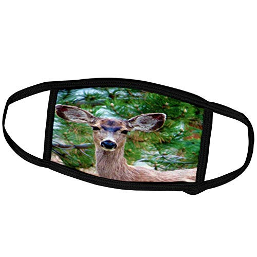 3dRose A Close up of a Brown Deer in Pine Valley Utah with Green Trees - Face Covers -fc_245460_3-