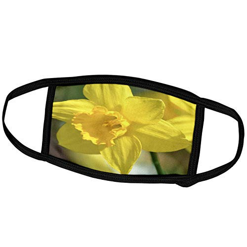3dRose Hello Daffodil- Yellow Flowers- Floral Spring Photography - Face Covers -fc_47774_3- 3dRose Hello Daffodil- Yellow Flowers- Floral Spring Photography - Face Covers -fc_47774_3-