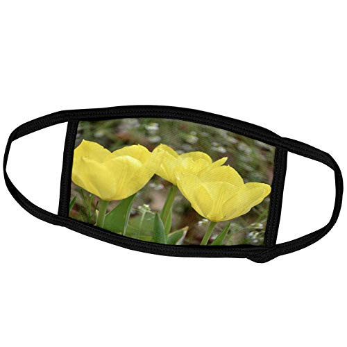3dRose Spring Tulips- Yellow Flowers- Photography - Face Covers -fc_48662_2- 3dRose Spring Tulips- Yellow Flowers- Photography - Face Covers -fc_48662_2-