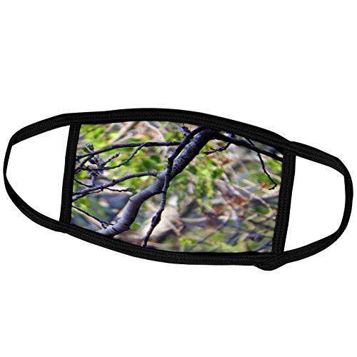 3dRose A Lifeless Branch from a Tree Shot up Close with a Green. - Face Covers -fc_294249_1-