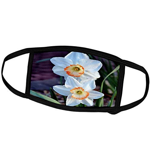 3dRose WhiteOak Photography Daffodils - Two Solid Yellow Daffodils - Face Covers -fc_110129_3- 3dRose WhiteOak Photography Daffodils - Two Solid Yellow Daffodils - Face Covers -fc_110129_3-