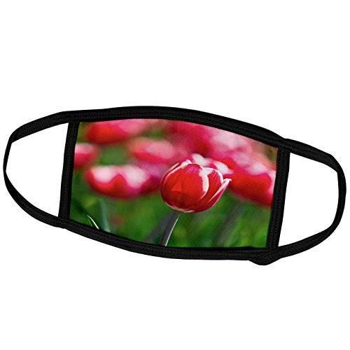 3dRose Red Tulip Flower Against The Background of Green Grass and red. - Face Covers -fc_336558_3-