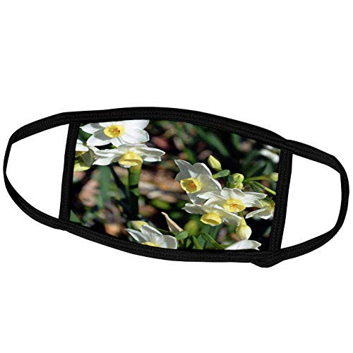 3dRose WhiteOak Photography Daffodils - Yellow and White Daffodils - Face Covers -fc_40680_3- 3dRose WhiteOak Photography Daffodils - Yellow and White Daffodils - Face Covers -fc_40680_3-