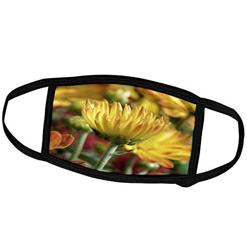 3dRose Yellow Mum Among The Mums- Flowers- Floral Photography - Face Covers -fc_36319_3- 3dRose Yellow Mum Among The Mums- Flowers- Floral Photography - Face Covers -fc_36319_3-