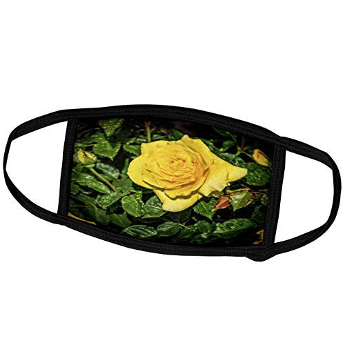 3dRose Boehm Photography Landscape - Yellow Rose - Face Covers -fc_127511_2- 3dRose Boehm Photography Landscape - Yellow Rose - Face Covers -fc_127511_2-