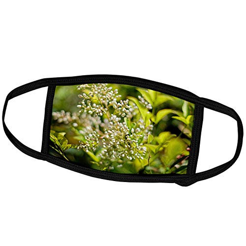 3dRose Pretty White Buds of Flowers on Green Leaves Shot Close up and in. - Face Covers -fc_52104_3-