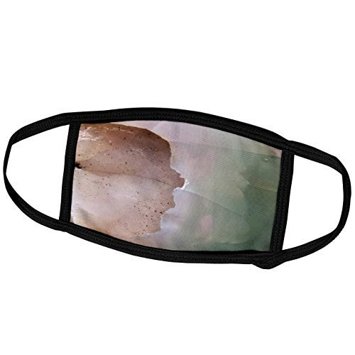 3dRose Agate Abstract - Image of Close Up of Peach and Green Agate - Face Covers -fc_255414_3-