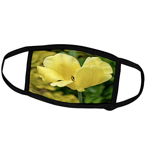 3dRose Yellow Tulip Flower - Floral Print - Spring Photography - Face Covers -fc_55645_2- 3dRose Yellow Tulip Flower - Floral Print - Spring Photography - Face Covers -fc_55645_2-
