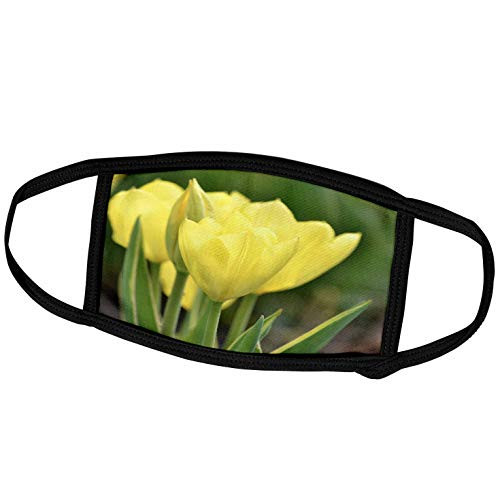 3dRose Yellow Tulips in Spring- Flowers- Floral Photography - Face Covers -fc_47735_3- 3dRose Yellow Tulips in Spring- Flowers- Floral Photography - Face Covers -fc_47735_3-