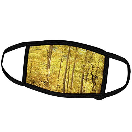 3dRose USA Colorado San Juan Mountains. Bright Yellow Aspen Trees in. - Face Covers -fc_259074_3-